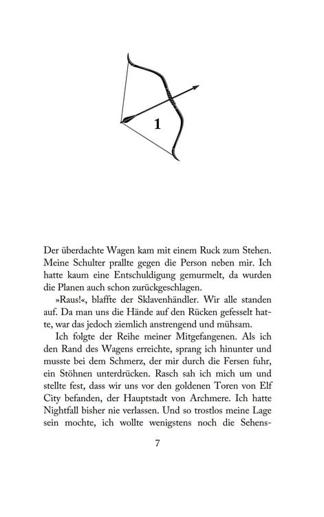 Produktbild: The Broken Elf King - Die Chroniken von Avalier 2