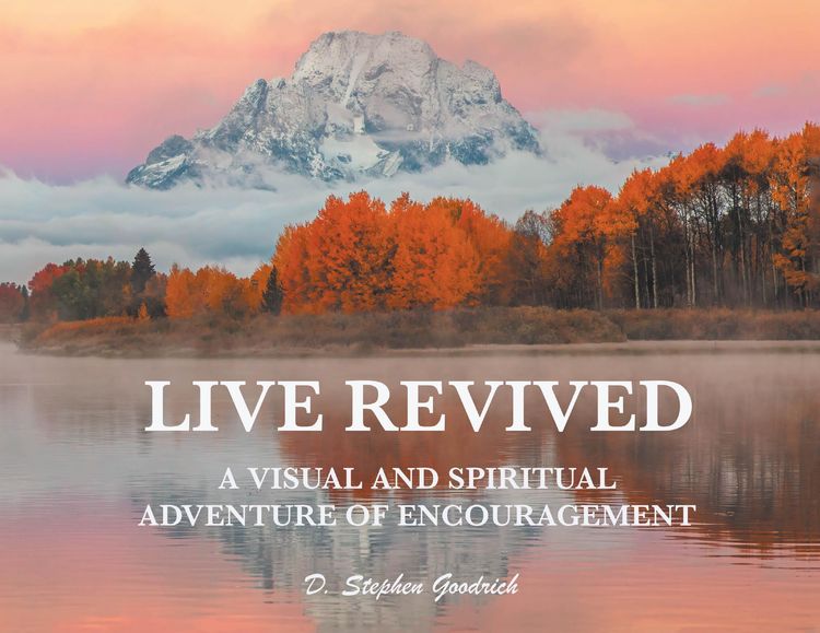 Produktbild: Live Revived