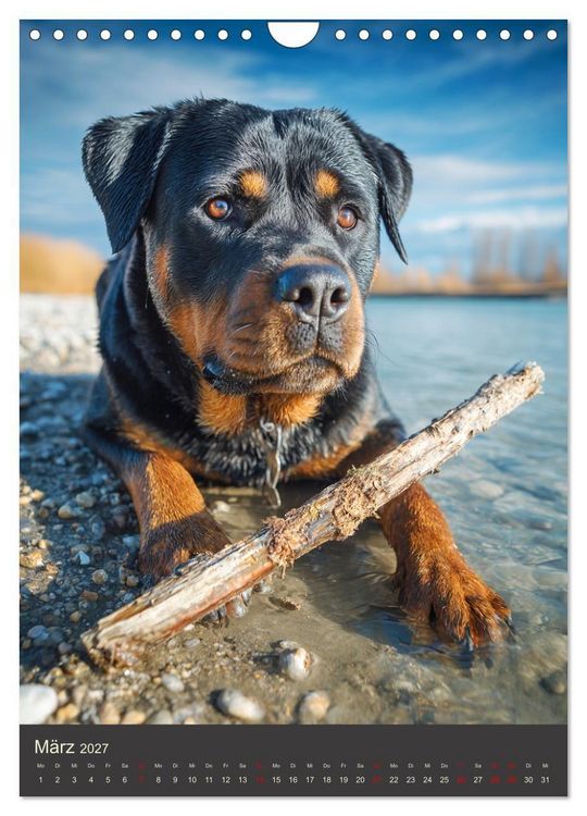 Produktbild: Rottweiler. Kraft, Herz und Treue (Wandkalender 2027 DIN A4 hoch), CALVENDO Monatskalender