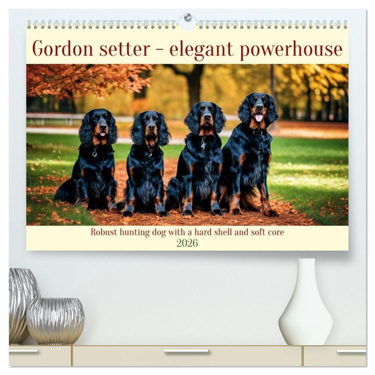 Produktbild: Gordon Setter - elegant powerhouse (High Quality Premium Wall Calendar 2026 DIN A2 landscape),CALVENDO 12 Month Wall Calendar