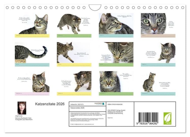 Produktbild: Katzenzitate 2026 (Wandkalender 2026 DIN A4 quer), CALVENDO Monatskalender