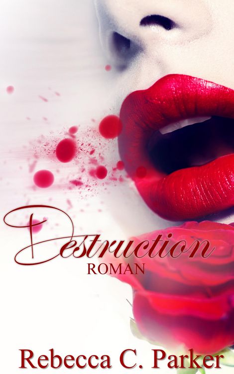 Produktbild: Destruction (Erotik Thriller)