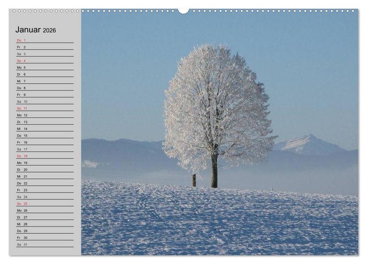 Produktbild: Magische B&auml;ume (hochwertiger Premium Wandkalender 2026 DIN A2 quer), Kunstdruck in Hochglanz