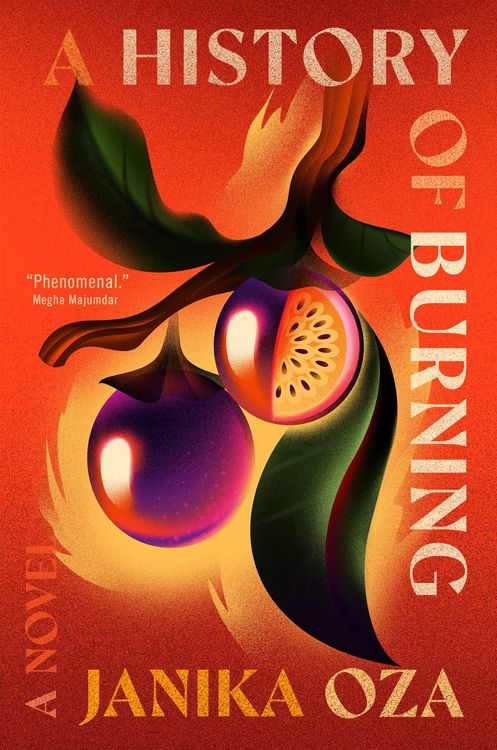 Produktbild: A History of Burning