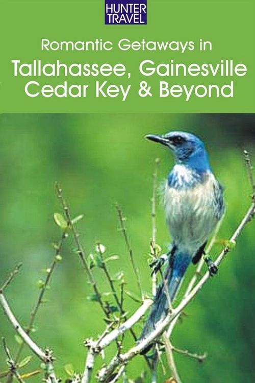 Produktbild: Romantic Getaways: Tallahassee, Gainesville, Cedar Key & Beyond