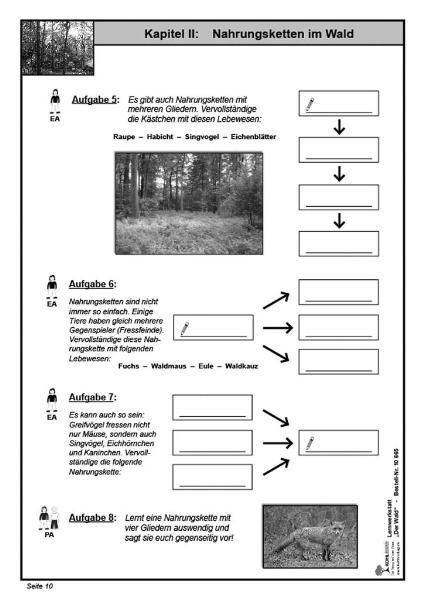 Produktbild: Lernwerkstatt Wald