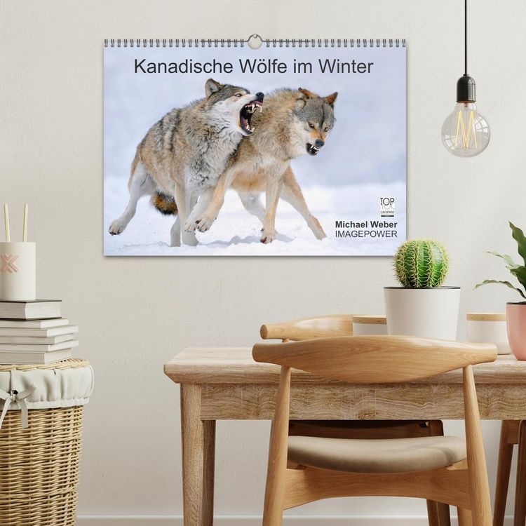 Produktbild: Kanadische W&ouml;lfe im Winter (Wandkalender 2026 DIN A3 quer), CALVENDO Monatskalender