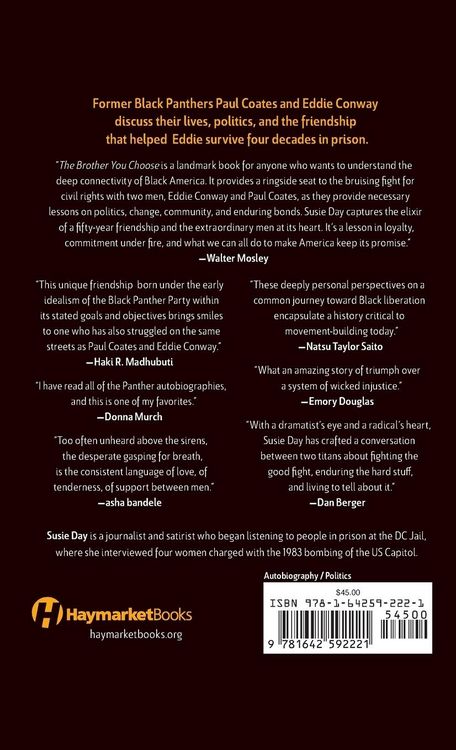 Produktbild: The Brother You Choose