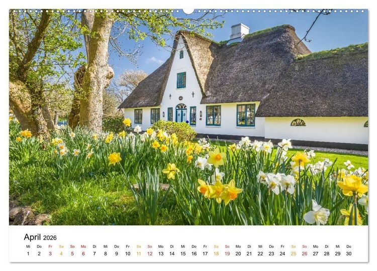 Produktbild: Sylter Friesenh&auml;user (Wandkalender 2026 DIN A2 quer), CALVENDO Monatskalender