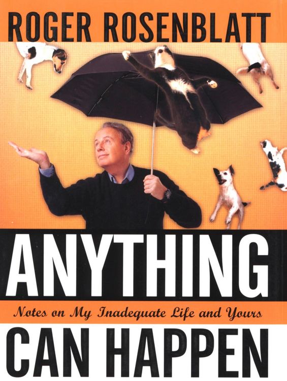 Produktbild: Anything Can Happen