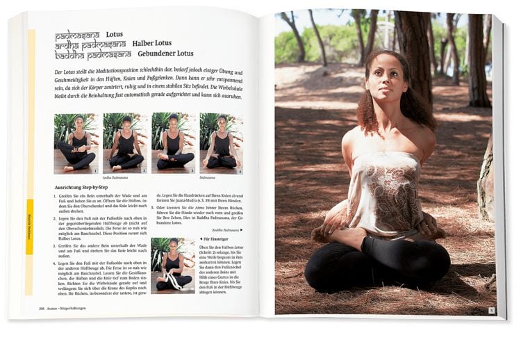 Produktbild: Yoga - Das gro&szlig;e Praxisbuch f&uuml;r Einsteiger & Fortgeschrittene