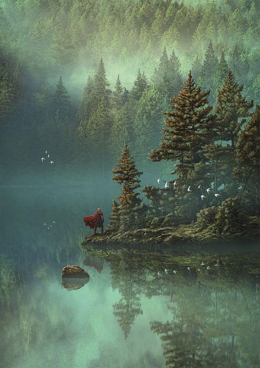 Die Elfen (Prachtausgabe)