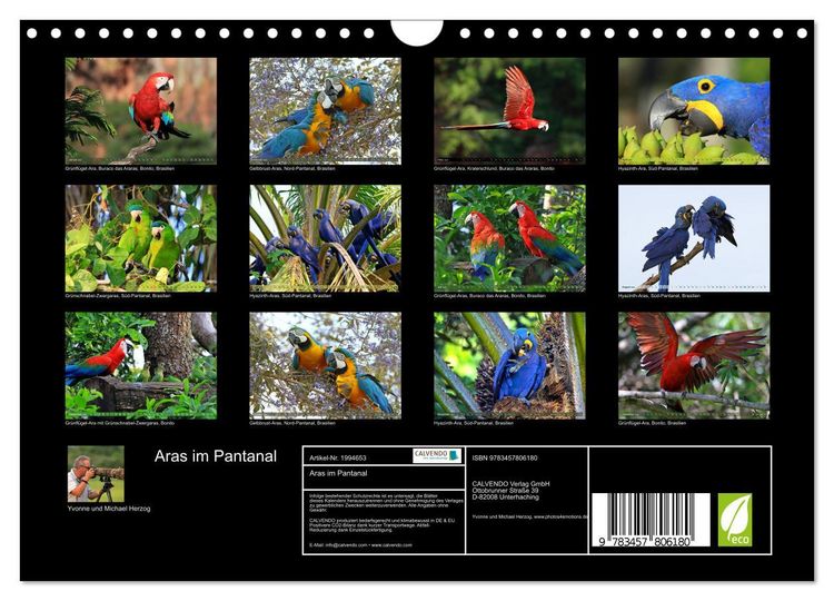 Produktbild: Aras im Pantanal (Wandkalender 2026 DIN A4 quer), CALVENDO Monatskalender