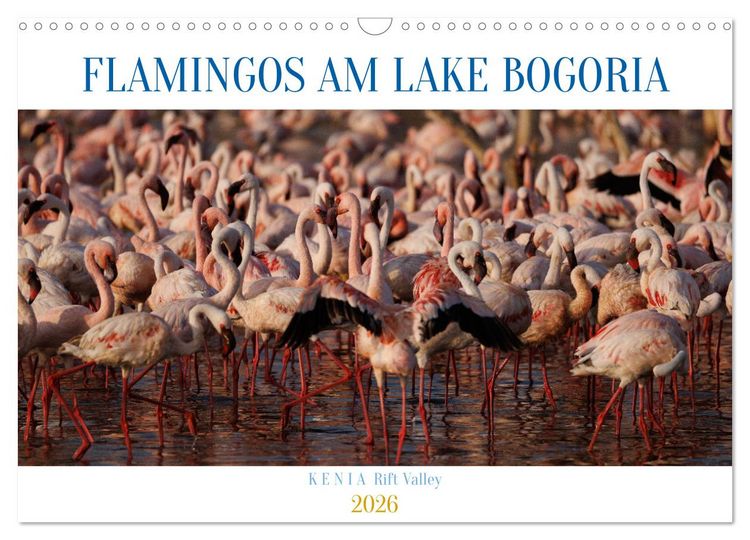Produktbild: Flamingos am Lake Bogoria - Kenia (Wandkalender 2026 DIN A3 quer), CALVENDO Monatskalender
