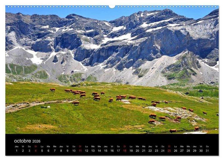 Produktbild: Couleurs Pyr&eacute;n&eacute;es (Calendrier mural 2026 DIN A2 vertical) calendrier de bureau