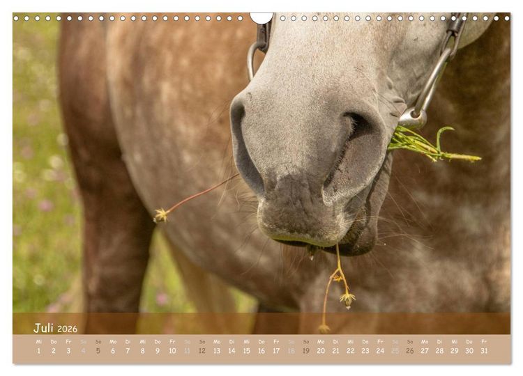 Produktbild: Mit Pferden durch&acute;s Jahr (Wandkalender 2026 DIN A3 quer), CALVENDO Monatskalender
