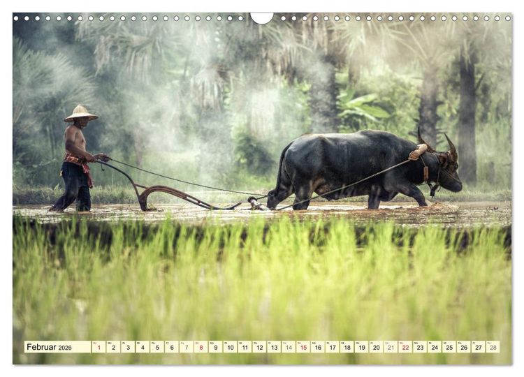 Produktbild: Magisches Asien. Menschen und Natur (Wandkalender 2026 DIN A3 quer), CALVENDO Monatskalender