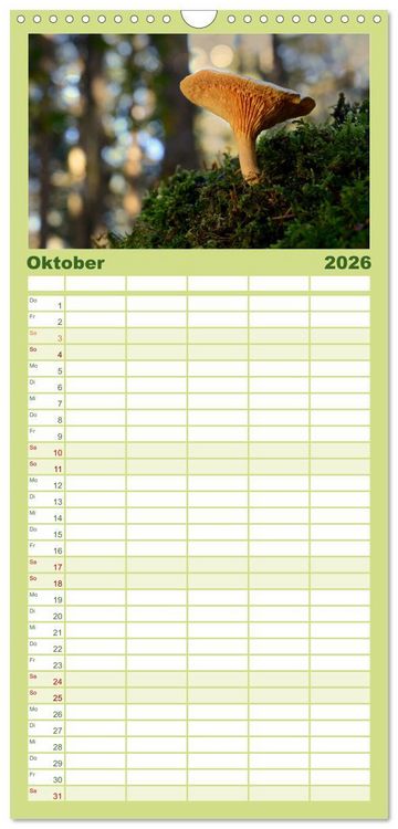 Produktbild: Familienplaner 2026 - Schwammerl Egerlinge Pilze mit 5 Spalten (Wandkalender, 21 x 45 cm) CALVENDO