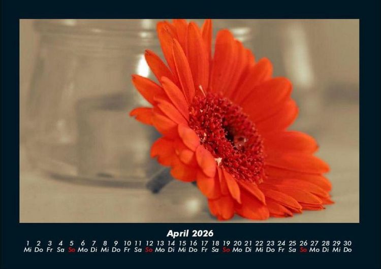 Produktbild: Blumentr&auml;ume 2026 Fotokalender DIN A4