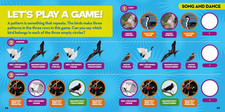 Produktbild: Little Kids First Big Book of Birds