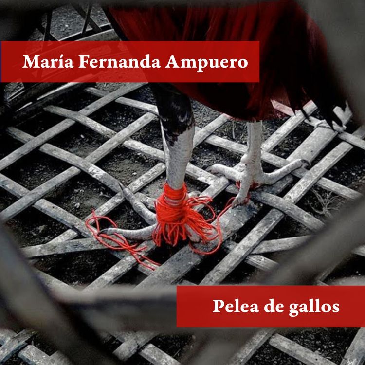 Produktbild: Pelea de gallos