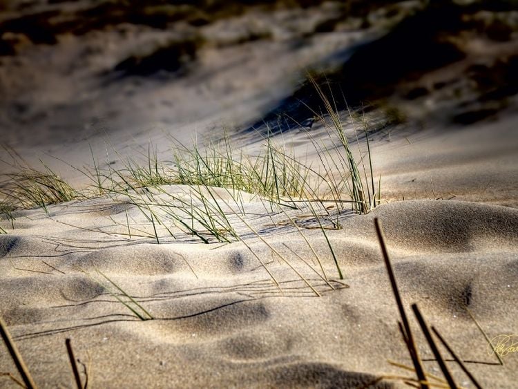 Produktbild: CALVENDO Puzzle Nordsee-D&uuml;nen | 1000 Teile Lege-Gr&ouml;&szlig;e 64x48cm Foto-Puzzle f&uuml;r gl&uuml;ckliche Stunden