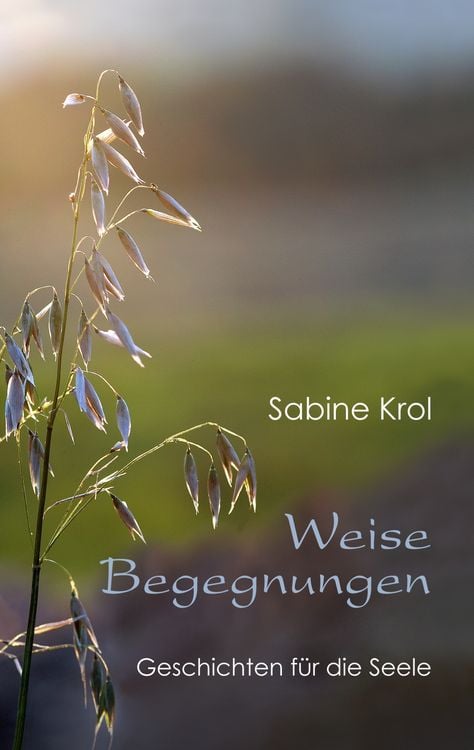 Produktbild: Weise Begegnungen - Geschichten f&uuml;r die Seele