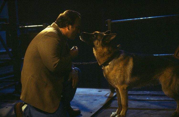 Produktbild: K-9/K-911/K-9: P.I. - Mein Partner mit der kalten Schnauze [3 DVDs]