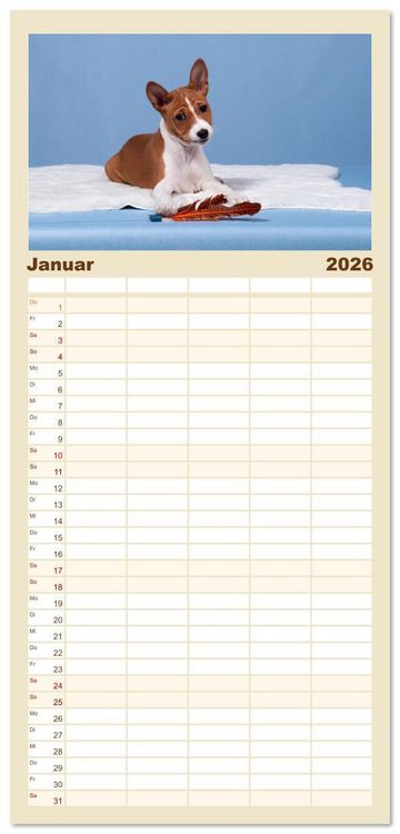Produktbild: Familienplaner 2026 - Der Basenji mit 5 Spalten (Wandkalender, 21 x 45 cm) CALVENDO
