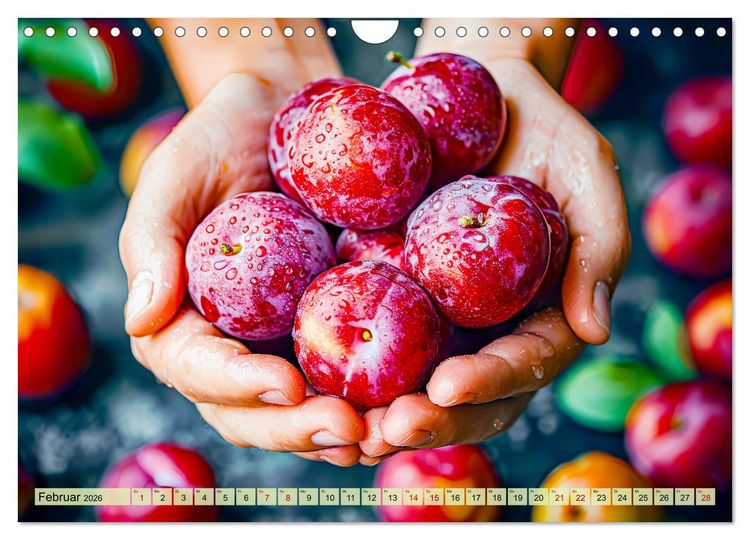 Produktbild: Erntegl&uuml;ck - Eine handvoll s&uuml;&szlig;er Fr&uuml;chte zum Anbei&szlig;en (Wandkalender 2026 DIN A4 quer), CALVENDO Monatskalender