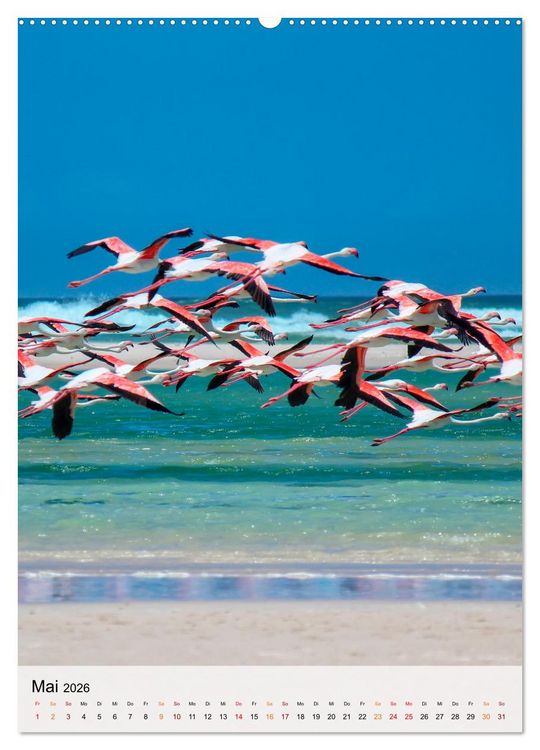 Produktbild: Flamingos - Eleganz und Sch&ouml;nheit (Wandkalender 2026 DIN A2 hoch), CALVENDO Monatskalender