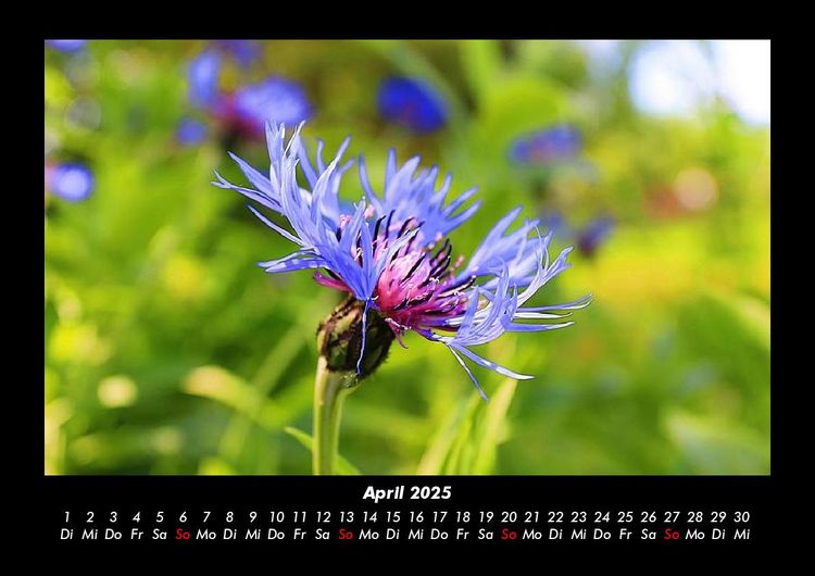 Produktbild: Bilder aus der Natur 2025 Fotokalender DIN A3