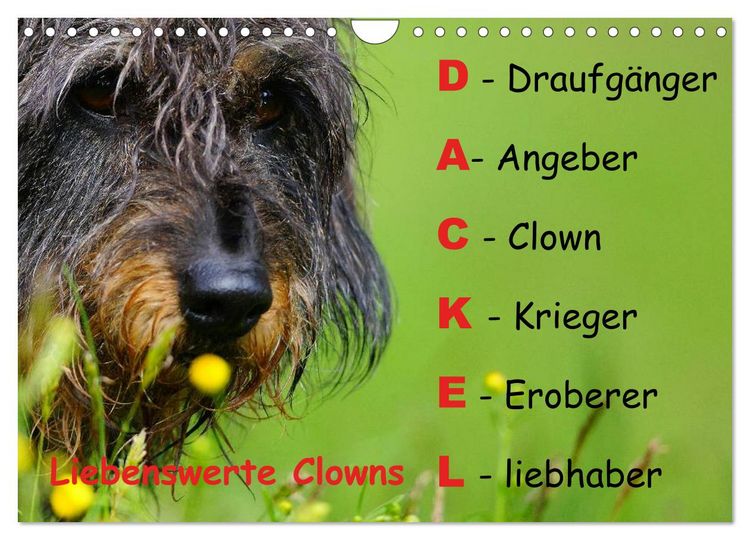 Produktbild: Liebenswerte Clowns (Wandkalender 2026 DIN A4 quer), CALVENDO Monatskalender