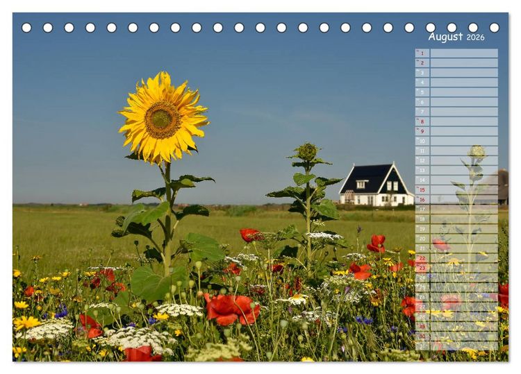 Produktbild: Ein Sommer auf Texel (Tischkalender 2026 DIN A5 quer), CALVENDO Monatskalender