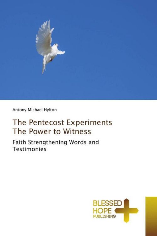 Produktbild: The Pentecost Experiments The Power to Witness