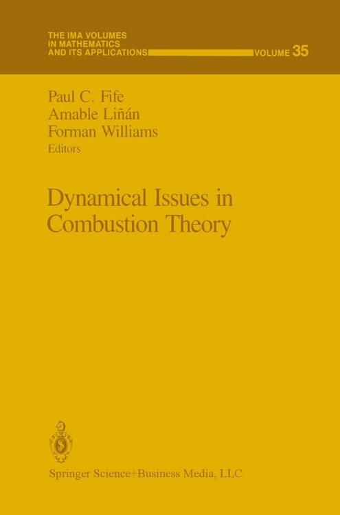 Produktbild: Dynamical Issues in Combustion Theory