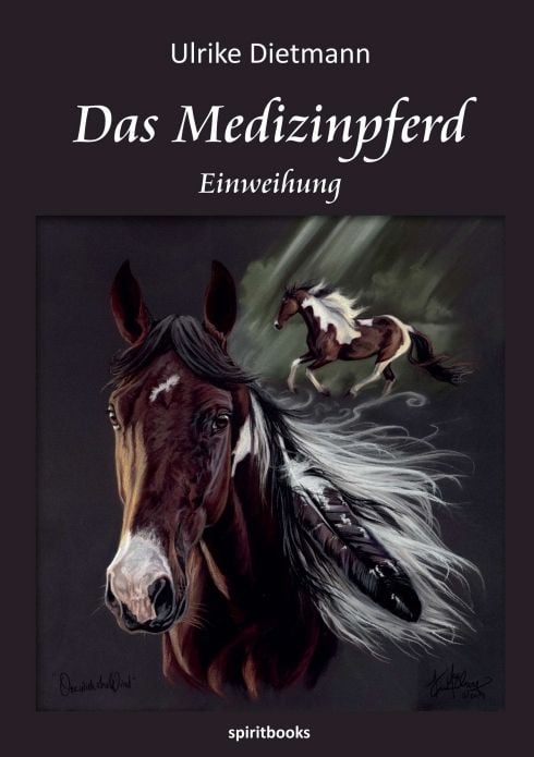 Produktbild: Das Medizinpferd