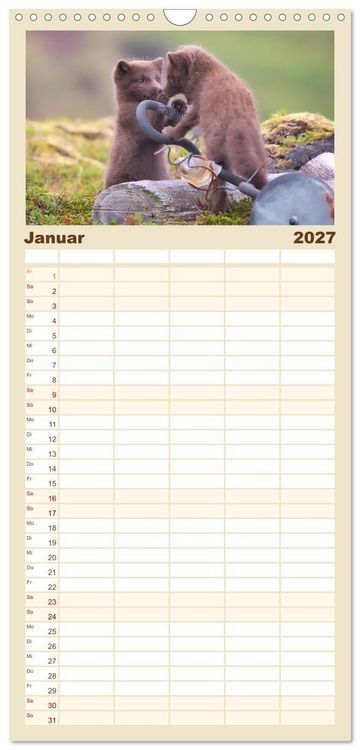 Produktbild: Familienplaner 2027 - Polarfuchs-Welpen mit 5 Spalten (Wandkalender, 21 x 45 cm) CALVENDO
