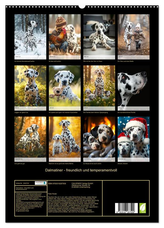 Produktbild: Dalmatiner - freundlich und temperamentvoll (hochwertiger Premium Wandkalender 2026 DIN A2 hoch), Kunstdruck in Hochglanz