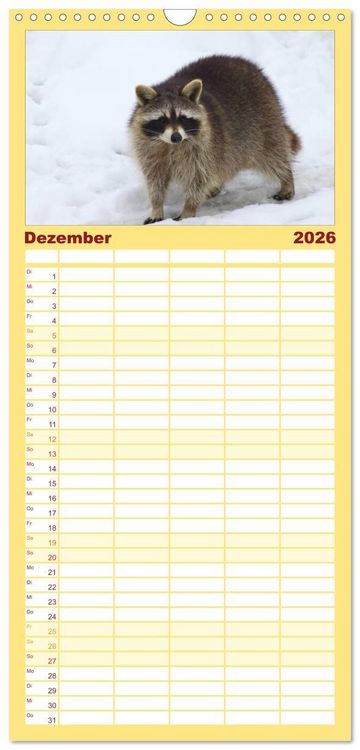 Produktbild: Familienplaner 2026 - Waschb&auml;ren mit 5 Spalten (Wandkalender, 21 x 45 cm) CALVENDO