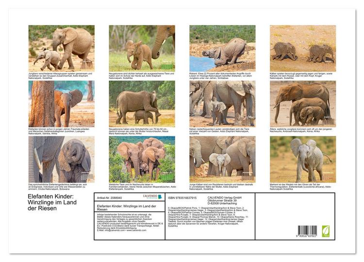 Produktbild: Elefanten Kinder: Winzlinge im Land der Riesen (Wandkalender 2026 DIN A2 quer), CALVENDO Monatskalender