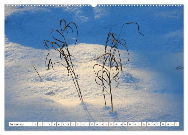 Produktbild: 12 Monate Natur (Wandkalender 2027 DIN A2 quer), CALVENDO Monatskalender