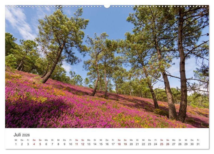 Produktbild: Die Bretagne - Traumpfade (hochwertiger Premium Wandkalender 2026 DIN A2 quer), Kunstdruck in Hochglanz