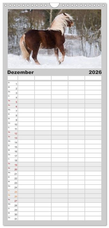 Produktbild: Familienplaner 2026 - Faszination und Vielfalt - Schwarzw&auml;lder Kaltblut mit 5 Spalten (Wandkalender, 21 x 45 cm) CALVENDO