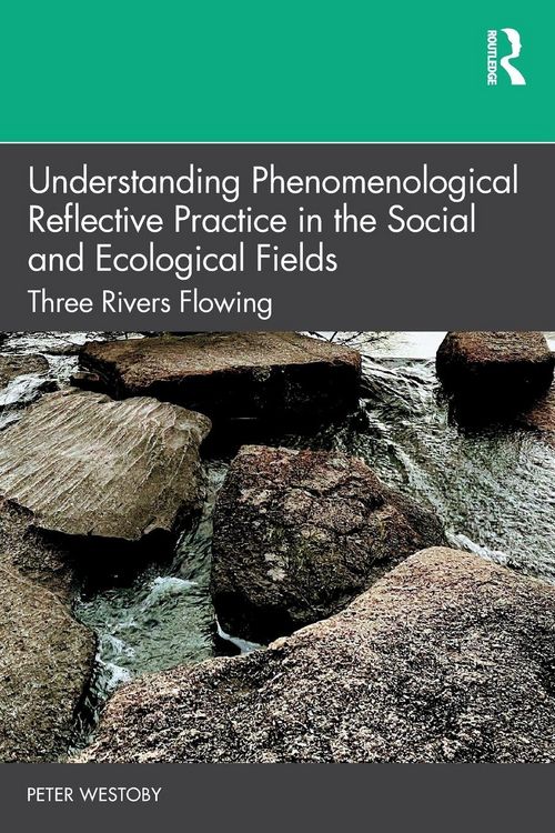 Produktbild: Understanding Phenomenological Reflective Practice in the Social and Ecological Fields