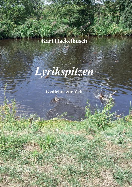 Produktbild: Lyrikspitzen