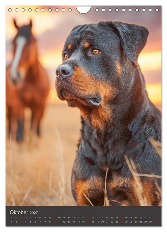 Produktbild: Rottweiler. Kraft, Herz und Treue (Wandkalender 2027 DIN A4 hoch), CALVENDO Monatskalender