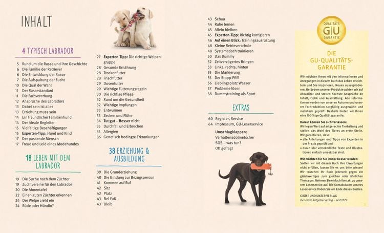 Produktbild: Labrador Retriever