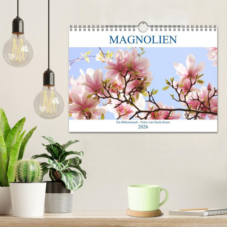Produktbild: Magnolien Ein Bl&uuml;tenrausch (Wandkalender 2026 DIN A4 quer), CALVENDO Monatskalender
