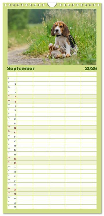 Produktbild: Familienplaner 2026 - Beaglebabys auf Entdeckungstour mit 5 Spalten (Wandkalender, 21 x 45 cm) CALVENDO